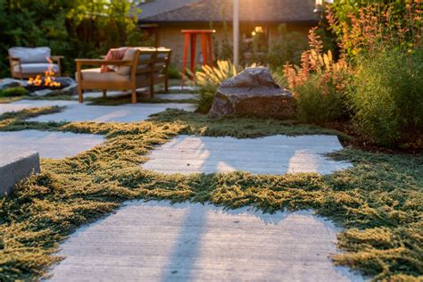 Alternative lawns. Things To Know About Alternative lawns. 